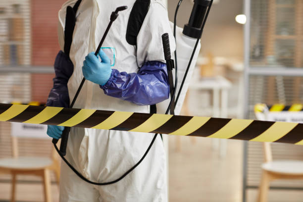 Professional Sewage Cleanup technician working in Walnut Creek, CA